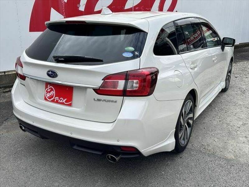 LEVORG