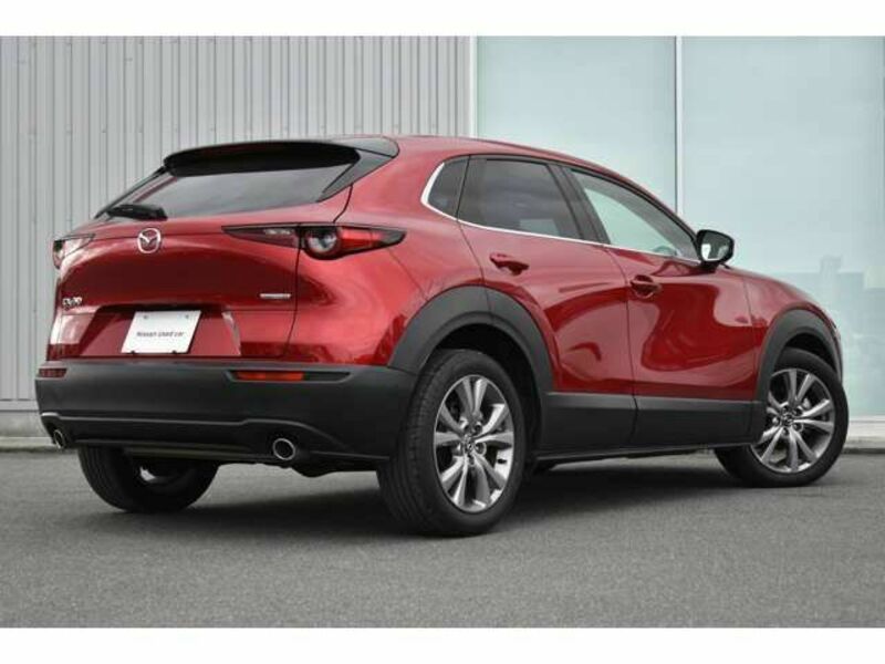 CX-30