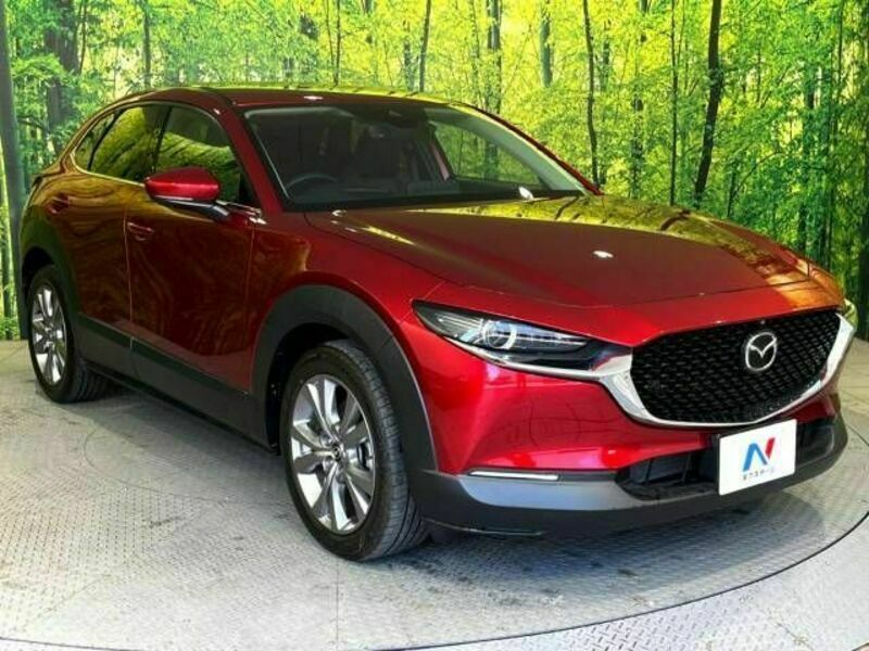 CX-30