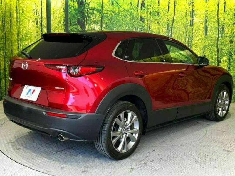 CX-30