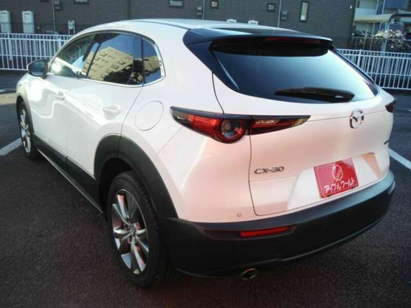 CX-30