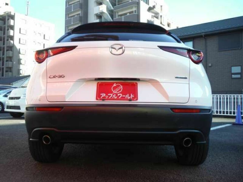 CX-30