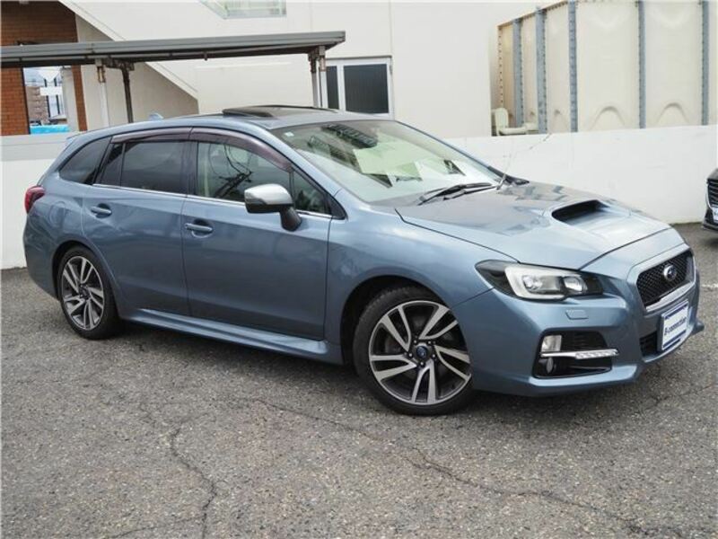 LEVORG