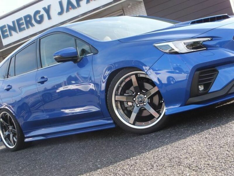 LEVORG