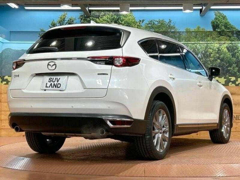 CX-8