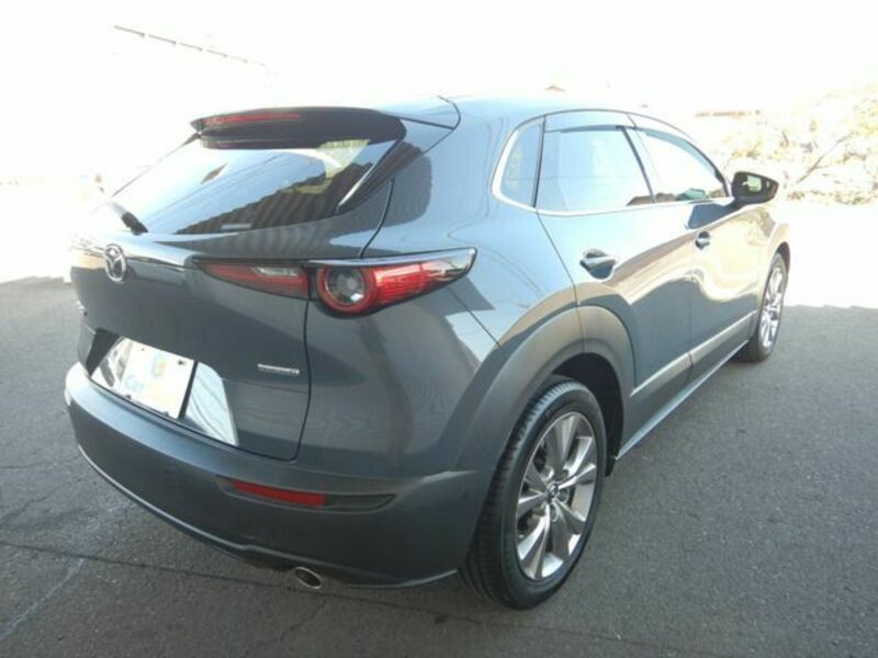 CX-30