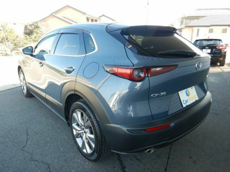 CX-30