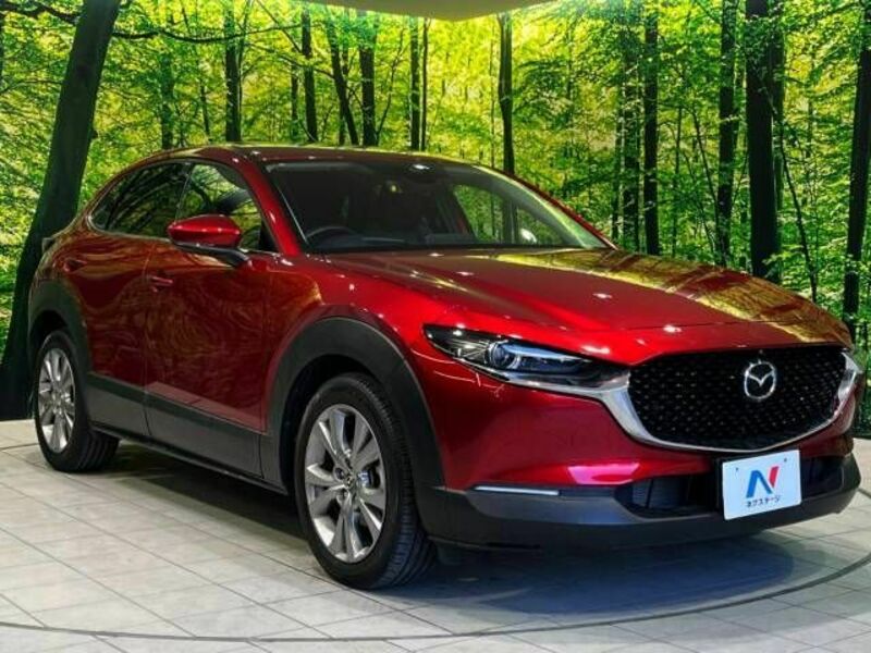 CX-30