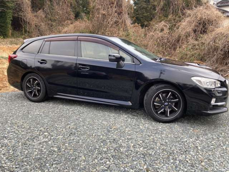 LEVORG