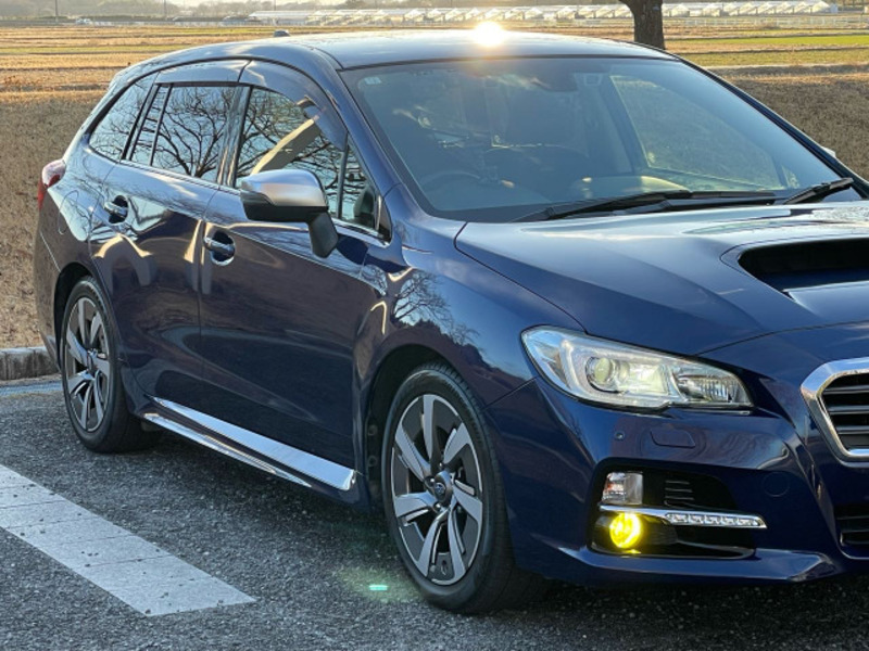 LEVORG