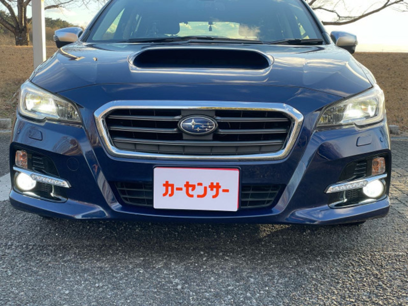 LEVORG