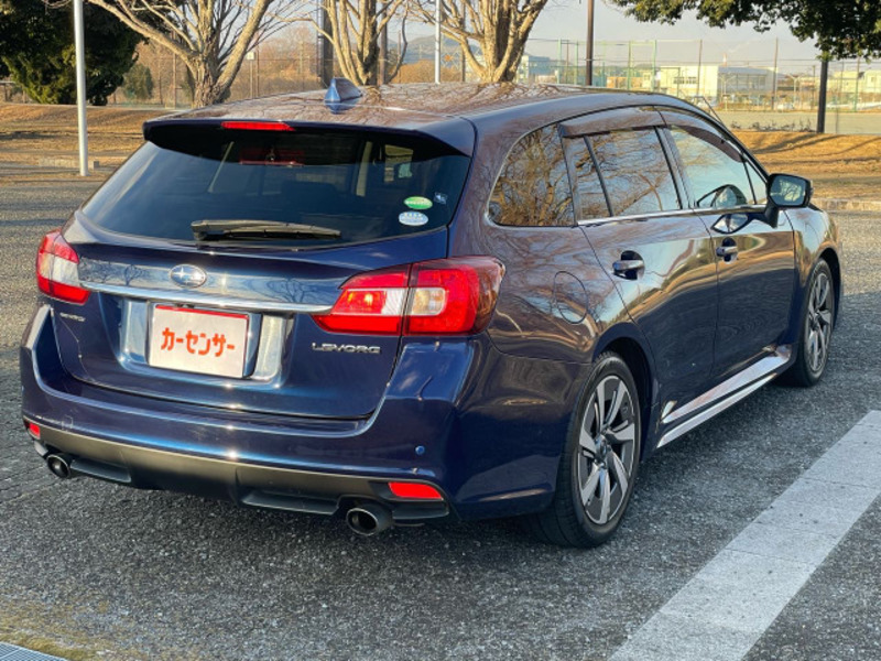 LEVORG