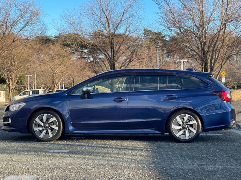 LEVORG