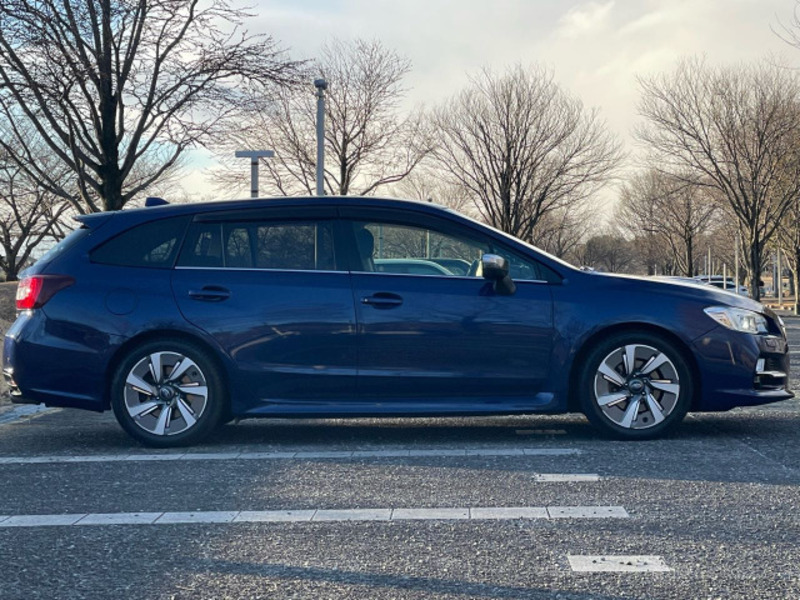 LEVORG