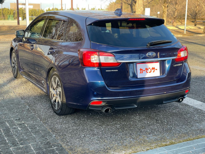 LEVORG