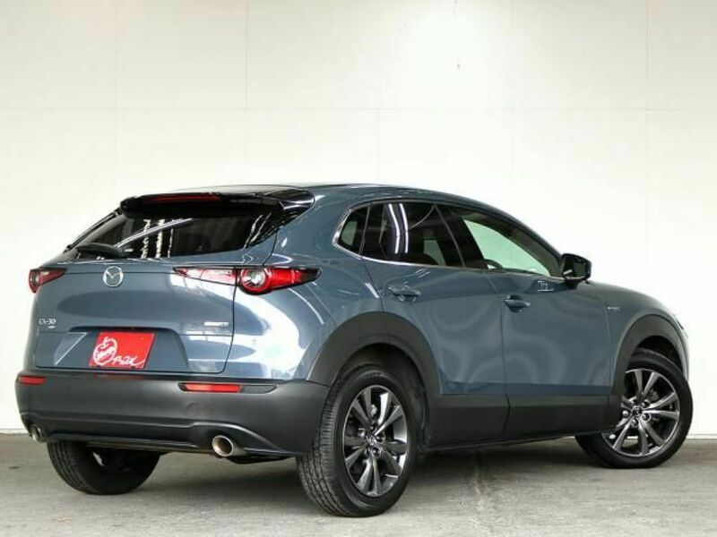 CX-30