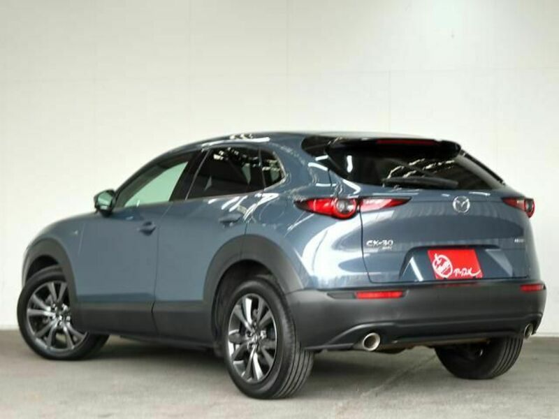 CX-30