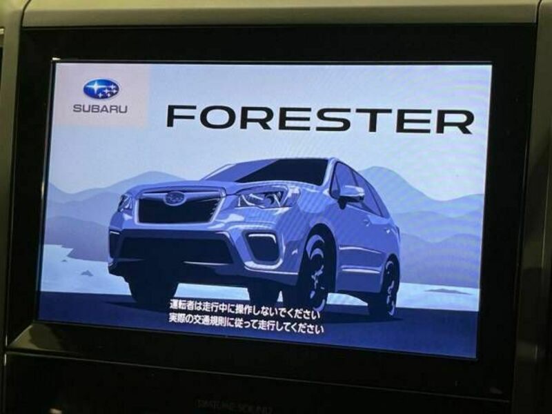 FORESTER