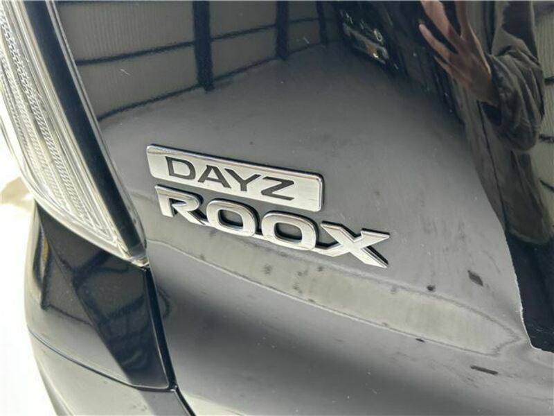 DAYZ ROOX