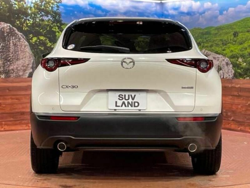 CX-30