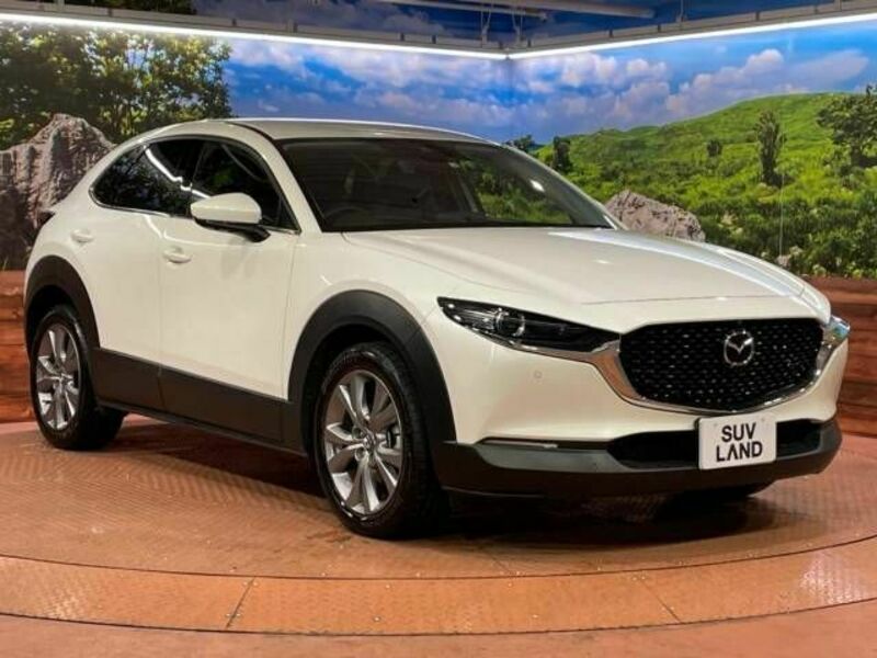 CX-30