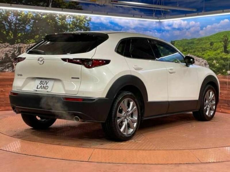 CX-30