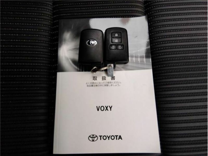 VOXY