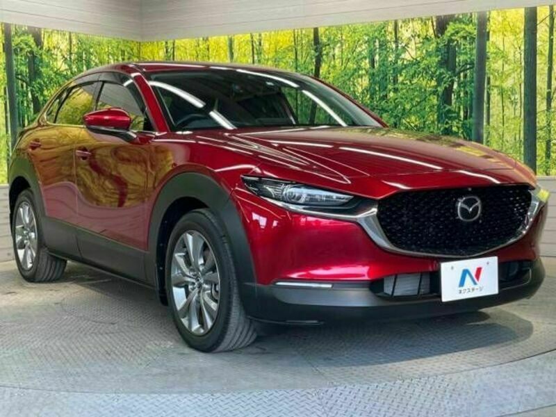 CX-30