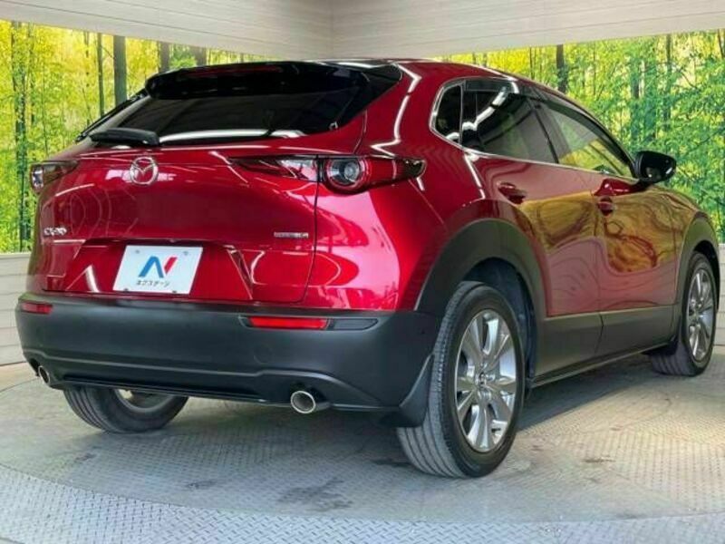 CX-30