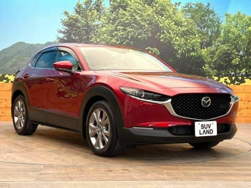 CX-30