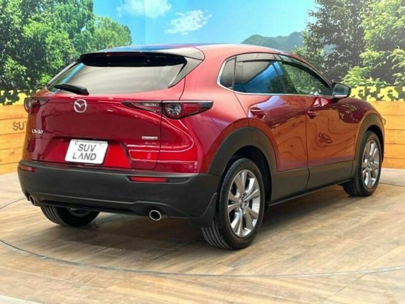 CX-30