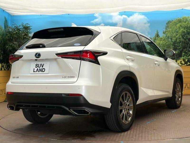 NX