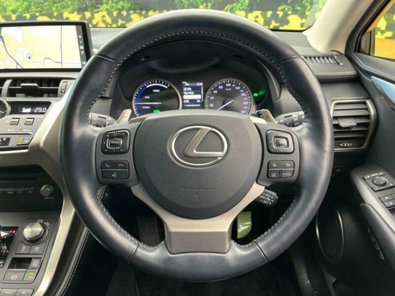 NX