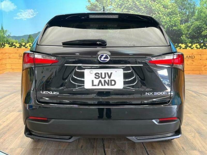NX