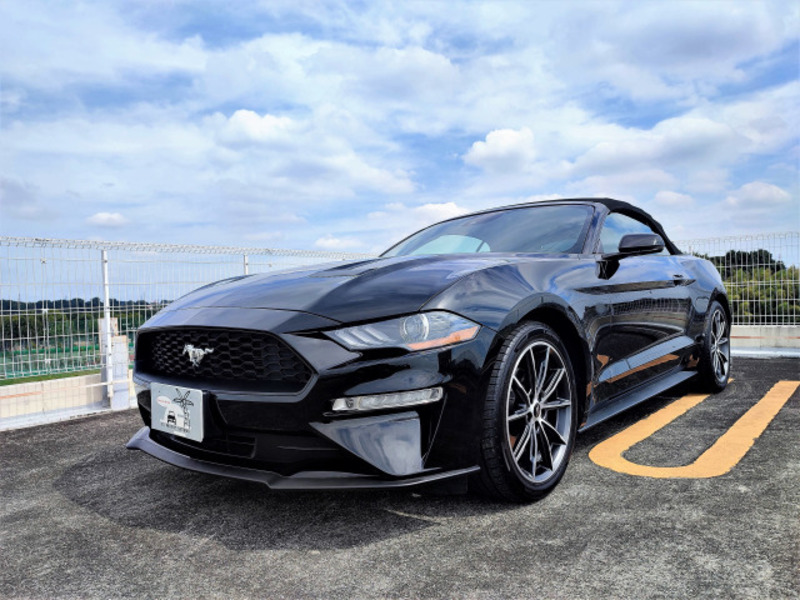 MUSTANG-4