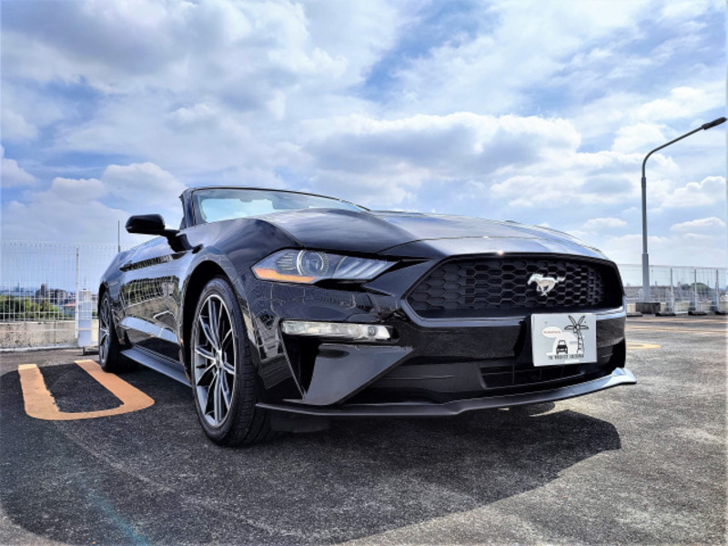 MUSTANG-10