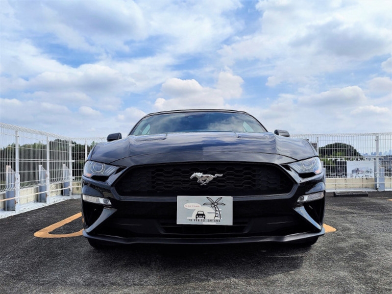 MUSTANG-3