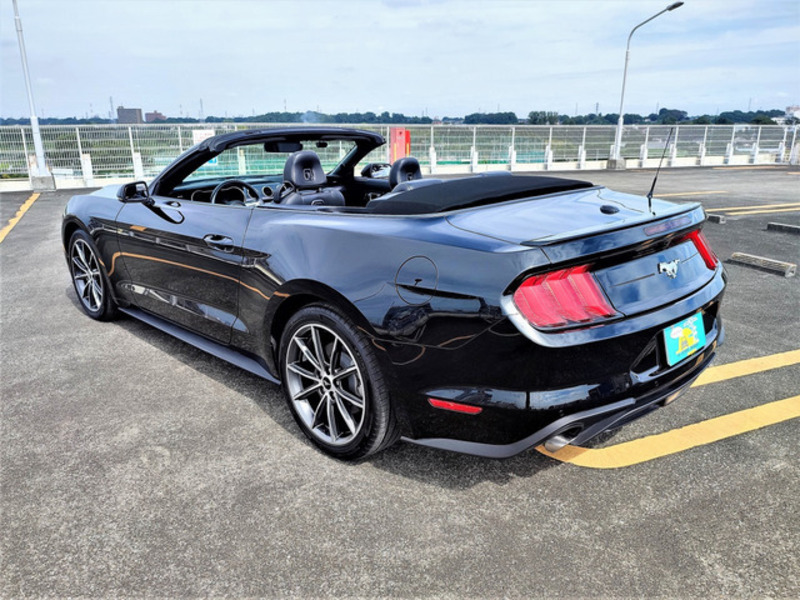 MUSTANG-13