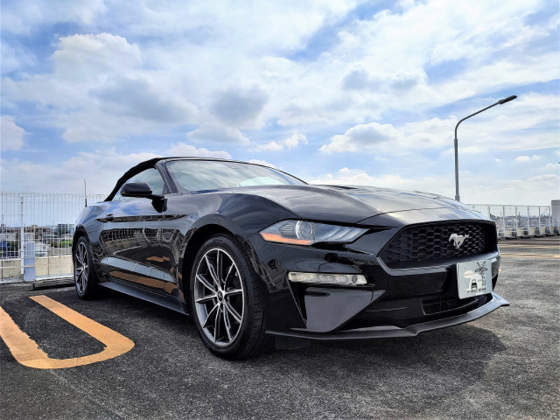 MUSTANG-1