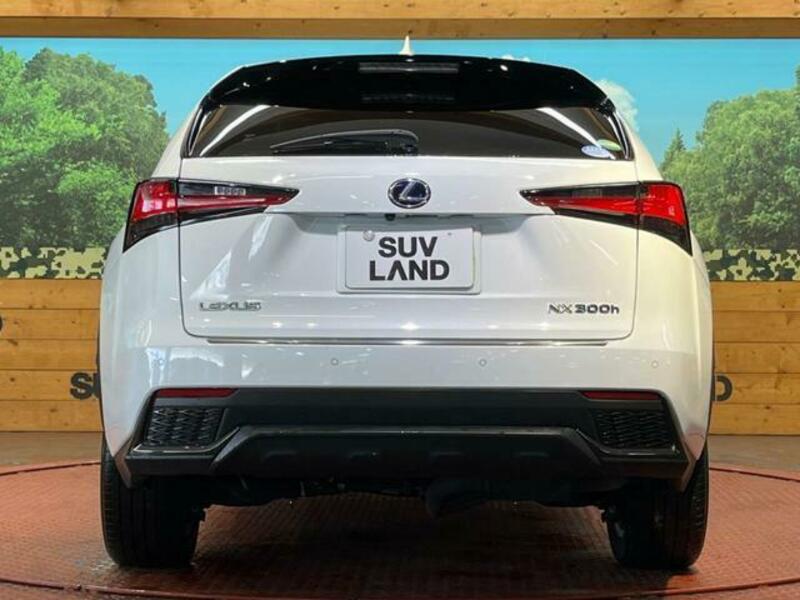 NX
