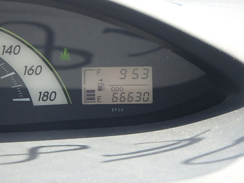 BELTA
