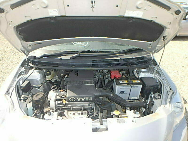 BELTA