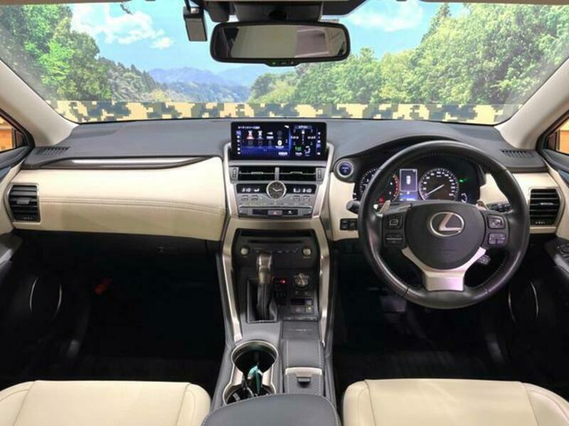 NX