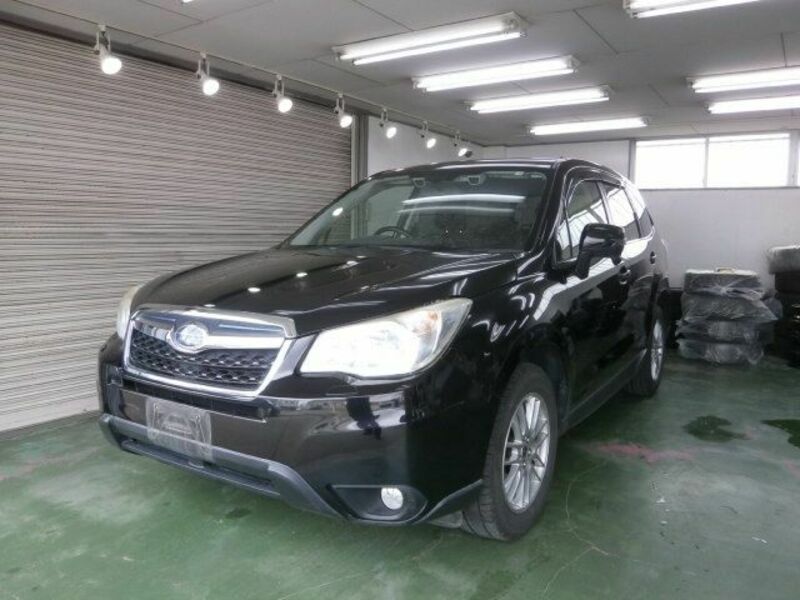 FORESTER