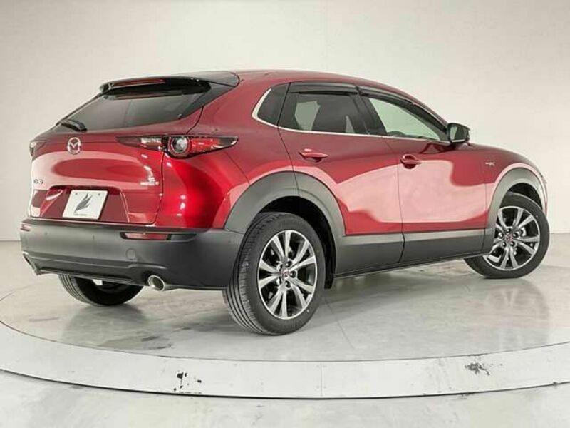 CX-30