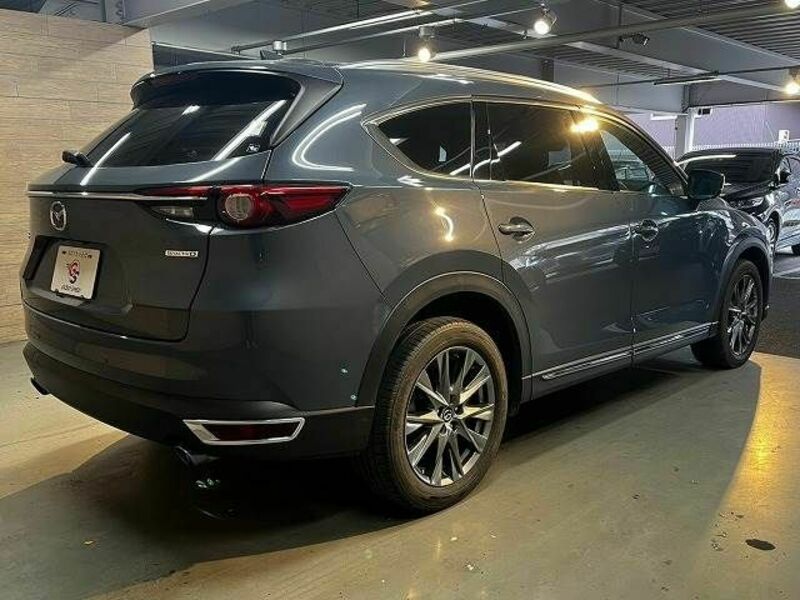 CX-8