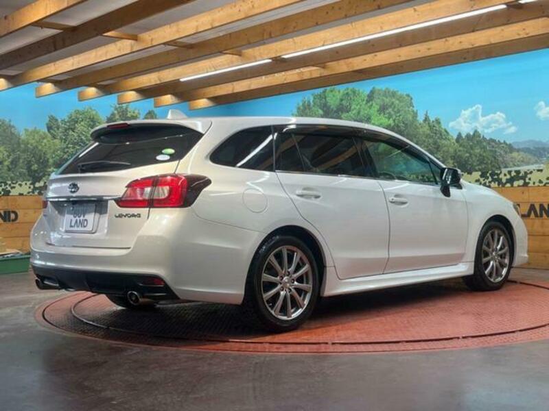 LEVORG