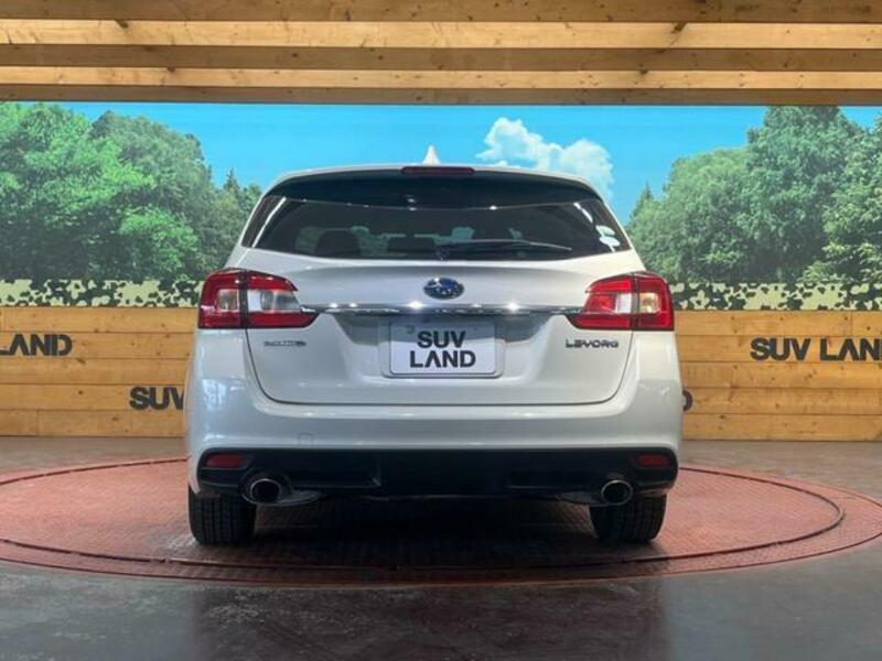 LEVORG