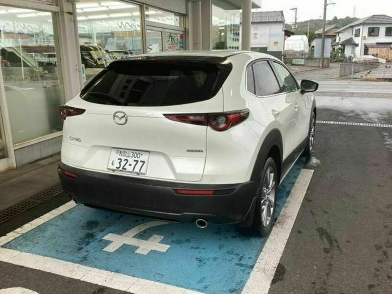 CX-30