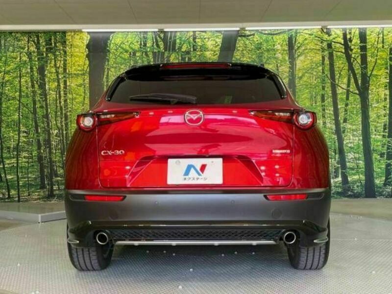 CX-30